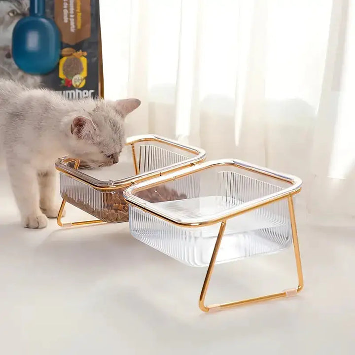 Elevated Food & Water Bowls (glass)