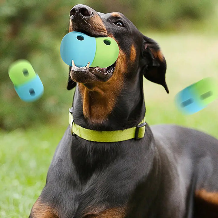 Interactive Treat Dispenser