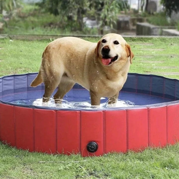 Foldable Pet Swimming Pool