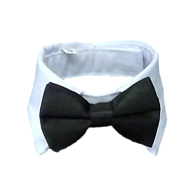 Specialty Bow Tie Collar