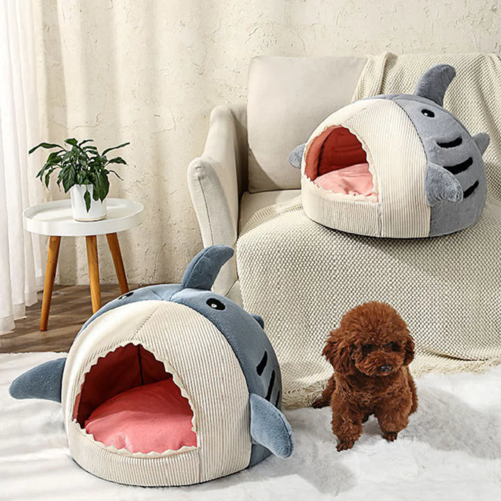 The Shark Bed