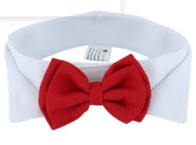 Specialty Bow Tie Collar