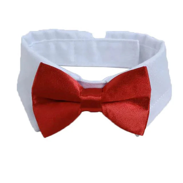 Specialty Bow Tie Collar