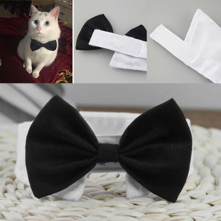 Specialty Bow Tie Collar