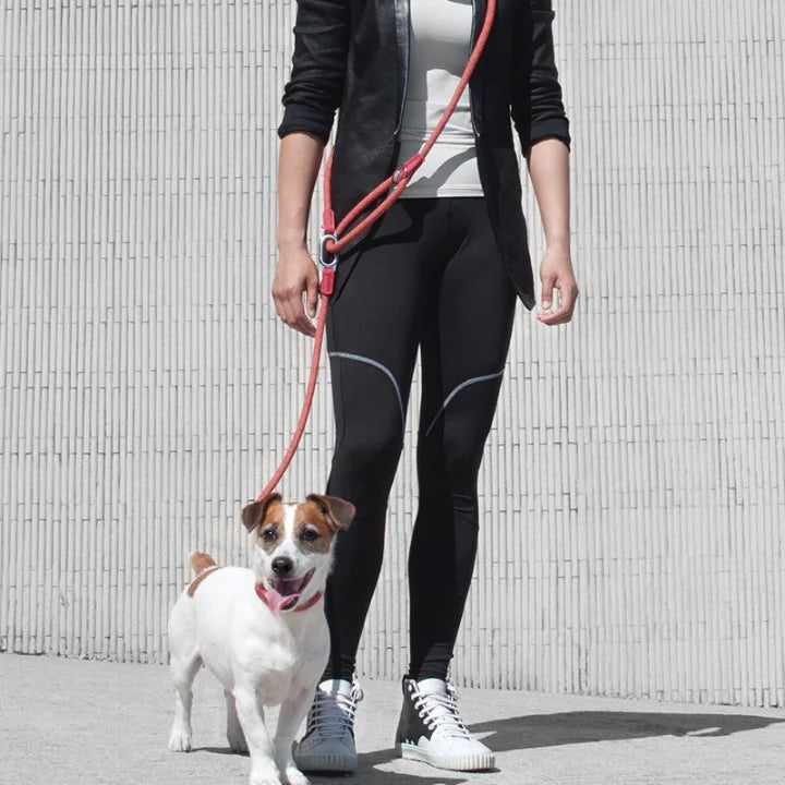 Reflective Convertible Hands-Free Dog Leash