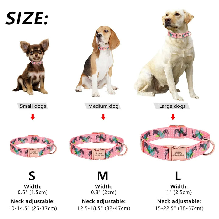 Personalized Dog Collar