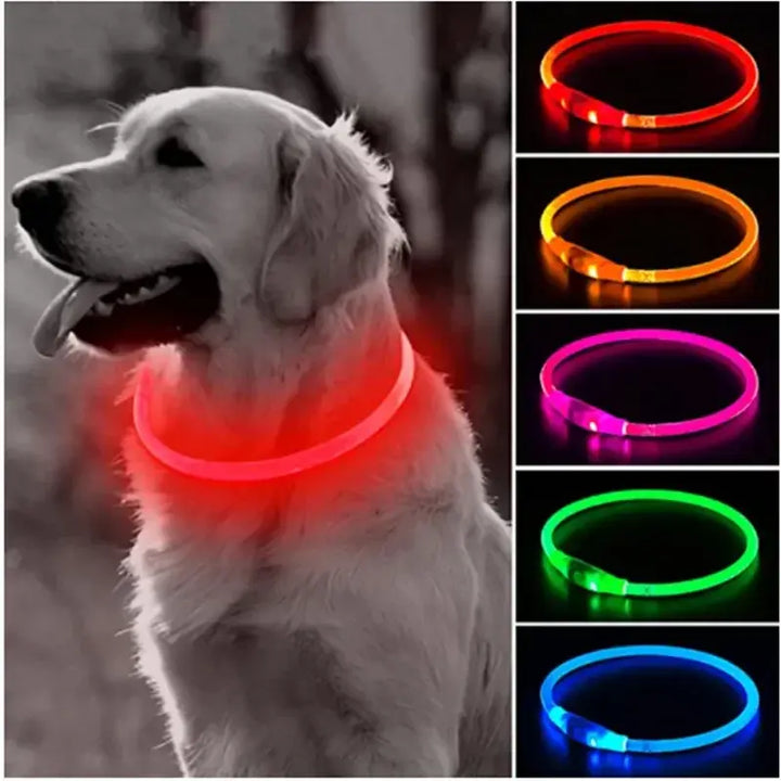 Safety Light Up Dog Collar