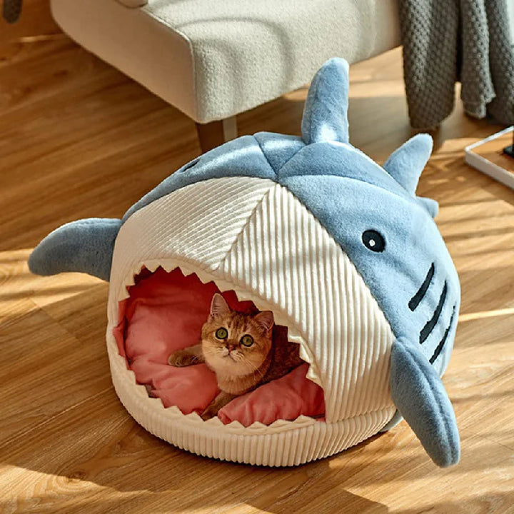 The Shark Bed