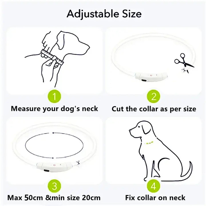 Safety Light Up Dog Collar